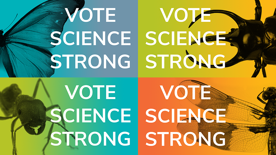 Vote Science Strong