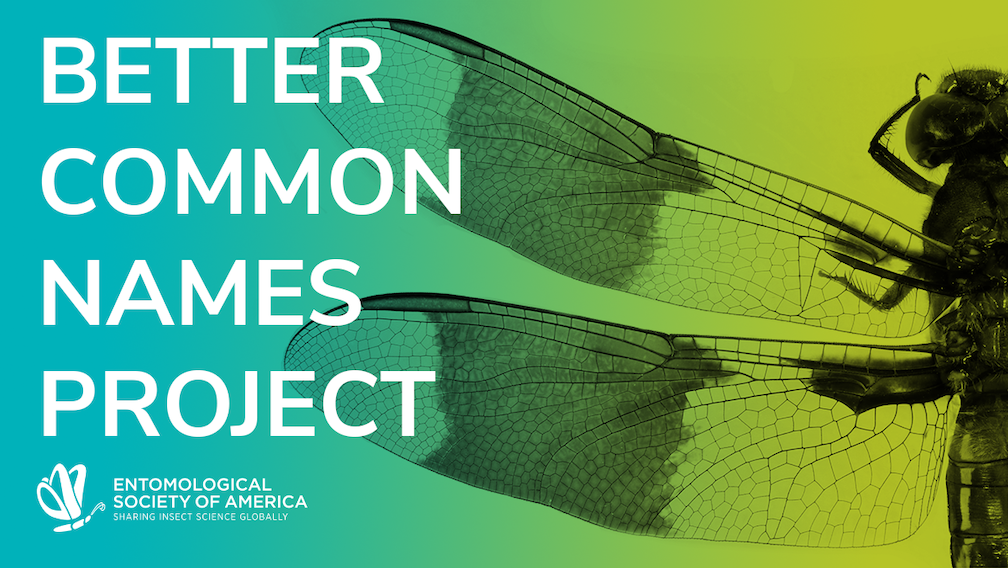 Better Common Names Project Certification Entomological Society of