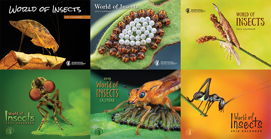 World of Insect Calendar
