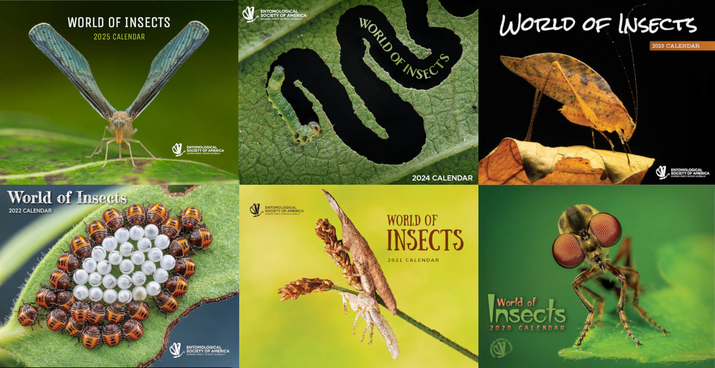 "A collage of six images. Each image is the cover of the ESA World of Insects Calendar from 2020 to 2025."