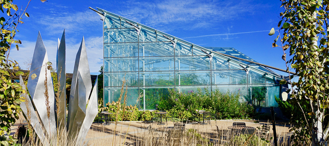 Reiman Gardens