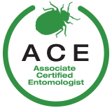 ACE Logo