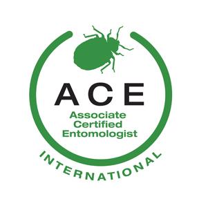 ACE-International