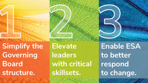 Colorful infographic with numbers 1, 2, and 3. Each number overlays a different detailed background, respectively: an insect wing pattern colored orange, a green leaf pattern, and a blue butterfly wing texture. Text reads: "1. Simplify the Governing Board structure. 2. Elevate leaders with critical skillsets. 3. Enable ESA to better respond to change.