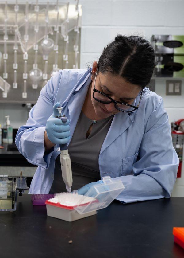 A Biological Science Technician with APHIS in the Insect Management and Molecular Diagnostics Laboratory (IMMDL), prepares samples.