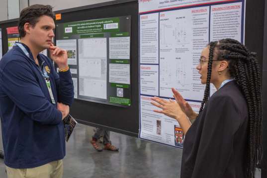 AM25 - Poster Presentation 